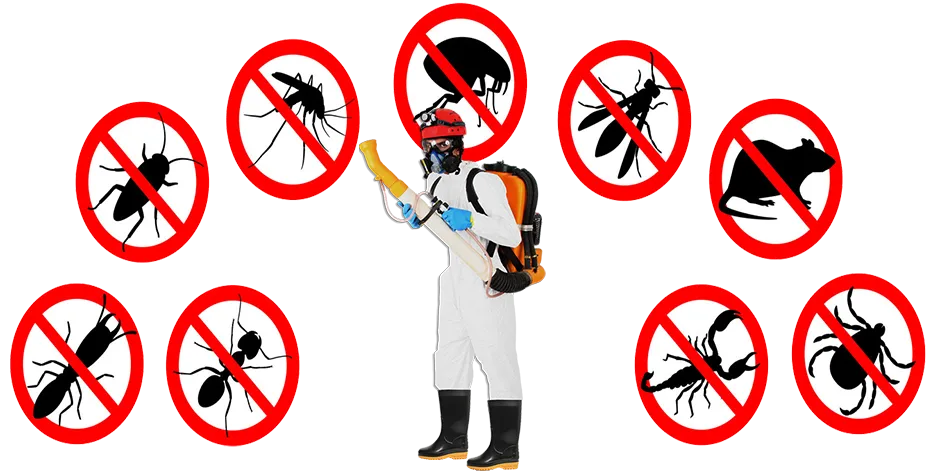 Controle de Praga em Sorocaba